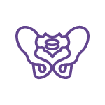 Icon_Pelvic