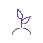 Icon_Sprout